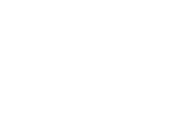 Eliseo Remodeling